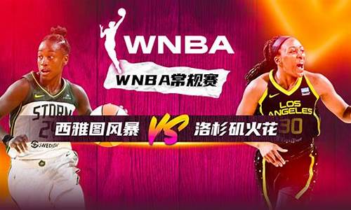 风暴vs王牌篮球619-wnba 风暴